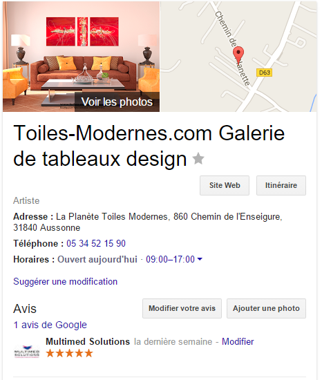 Fiche de la galerie Toiles-Modernes.com