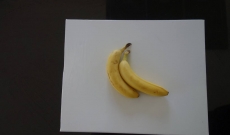 Art  contemporain : une banane scotchée au mur vendue à 120 000 dollars