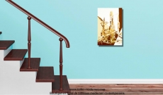 Comment aménager et optimiser un escalier